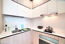 Sturdee Residences (D8), Condominium #239895361